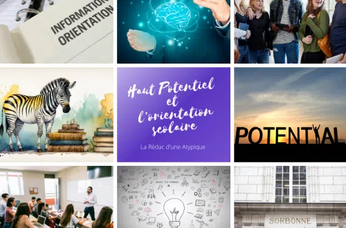 Le haut potentiel et l'orientation scolaire