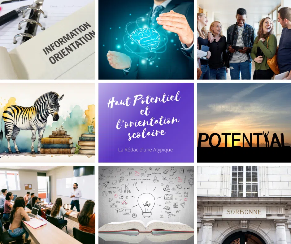 Le haut potentiel et l'orientation scolaire